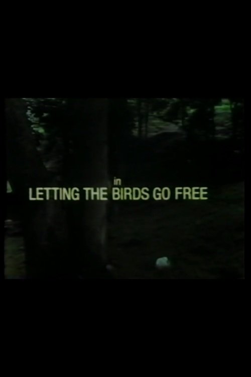 Постер Letting the Birds Go Free